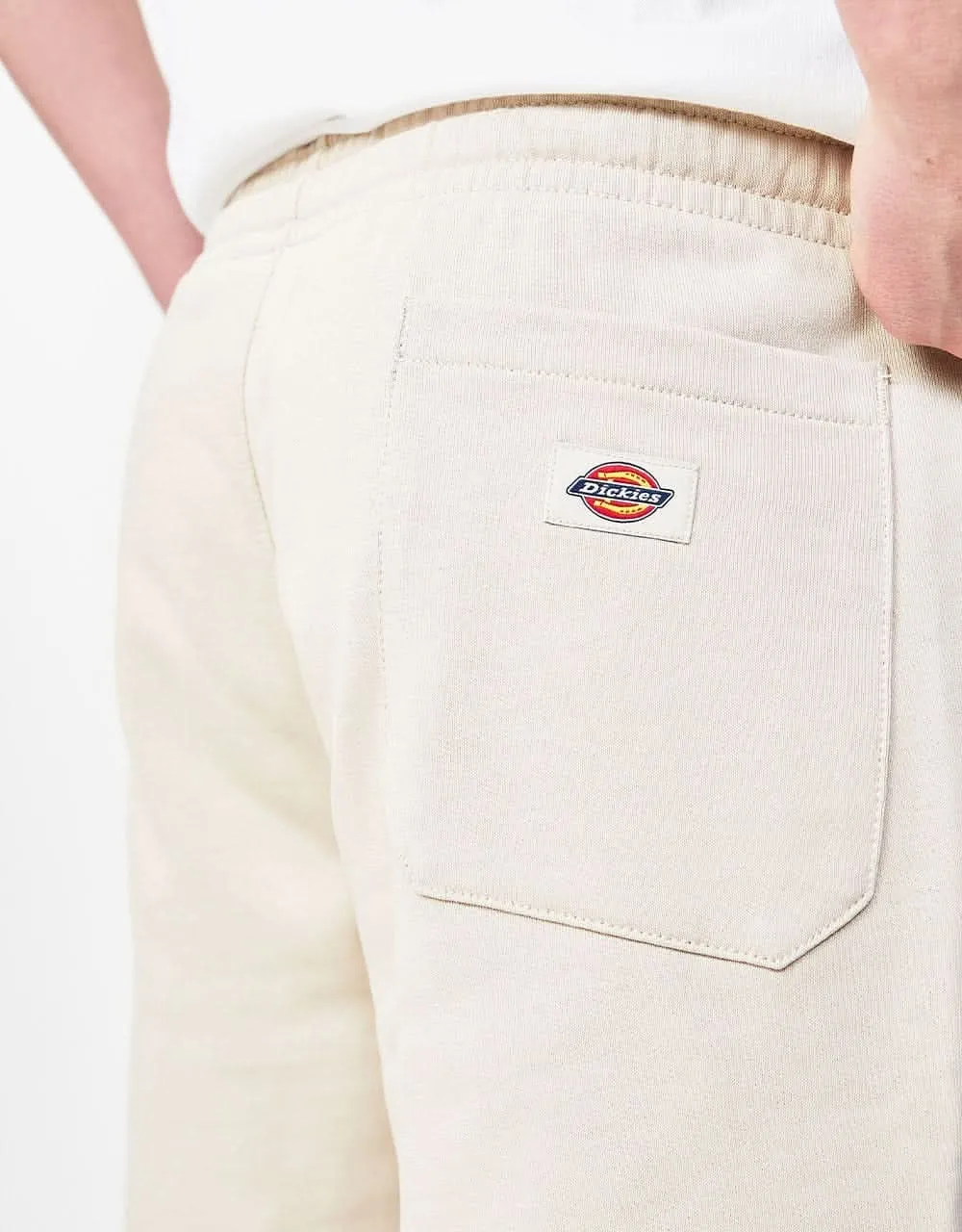 Dickies Champlin Short - Cement