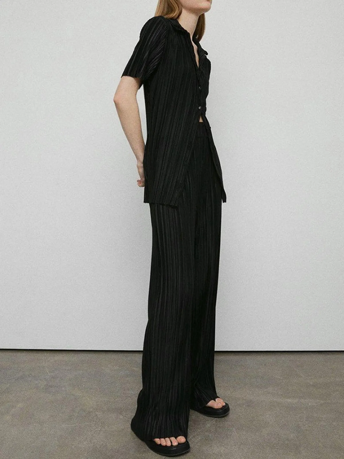 Leisure Plisse Two Trendy Piece Pants Set